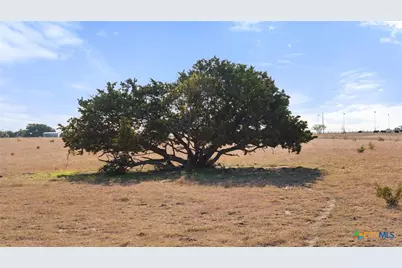 2501 County Road 224, Florence, TX 76527 - Photo 18