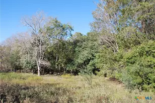 Tbd Fm 532, Hallettsville, TX 77964 - Photo 24