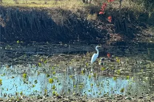 996 Carefree Dr, Victoria, TX 77905 - Photo 14