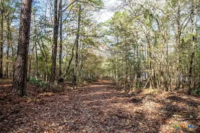 474 Pr 4311, White Oak, TX 75693 - Photo 38