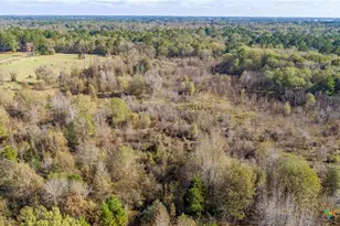 474 Pr 4311, White Oak, TX 75693 - Photo 6