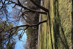 3172 Auction Barn Rd, Belton, TX 76513 - Photo 46