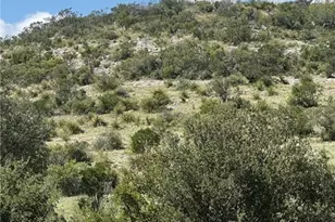 Lot 32 Private Rd, Rocksprings, TX 78880 - Photo 4