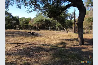 4240 Westview Drive, Belton, TX 76513 - Photo 12