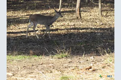 4232 Westview Drive, Belton, TX 76513 - Photo 14