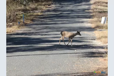 4232 Westview Drive, Belton, TX 76513 - Photo 2