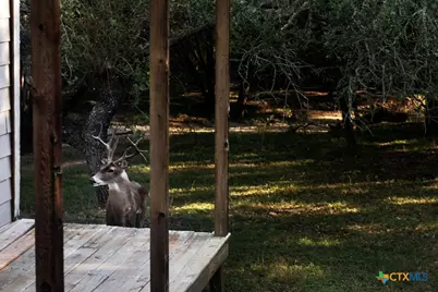 445 Scenic Hills Drive, Canyon Lake, TX 78133 - Photo 22