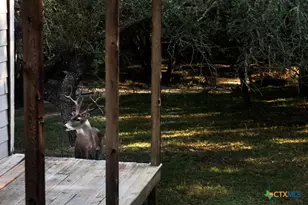 445 Scenic Hills Dr, Canyon Lake, TX 78133 - Photo 22