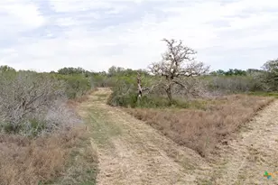 618 McGuill Rd, Goliad, TX 77963 - Photo 28