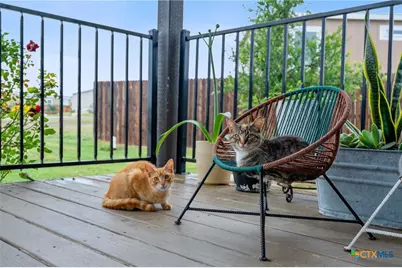 121 Fate Court, Kyle, TX 78640 - Photo 22