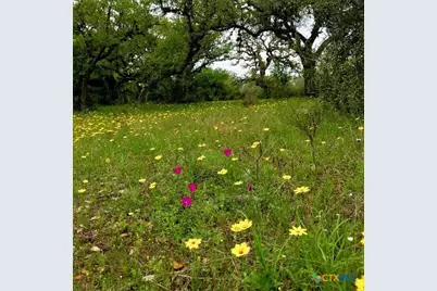 3100 Cattle Guard Road, Cuero, TX 77954 - Photo 12