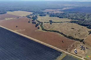 Tbd Co Rd 443 & Co Rd 446, Ganado, TX 77962 - Photo 26