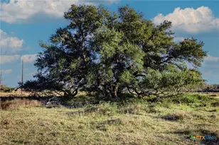 Tbd Co Rd 443 & Co Rd 446, Ganado, TX 77962 - Photo 2