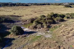 Tbd Co Rd 443 & Co Rd 446, Ganado, TX 77962 - Photo 10