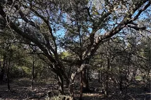 0 Lakeview Dr, Burnet, TX 78611 - Photo 2