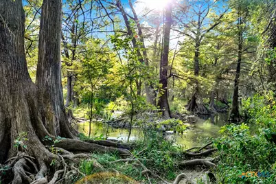 730 E Mather Street #B101, New Braunfels, TX 78130 - Photo 40