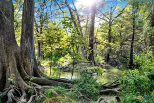 730 E Mather St, New Braunfels, TX 78130 - Photo 40