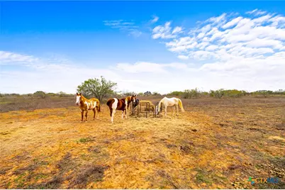 1145 Postert Lane, Floresville, TX 78114 - Photo 30