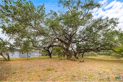 1145 Postert Lane, Floresville, TX 78114 - Photo 6