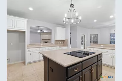 10302 Teich Loop, New Braunfels, TX 78132 - Photo 8