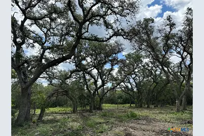 1776 Fm 1351, Goliad, TX 77963 - Photo 8