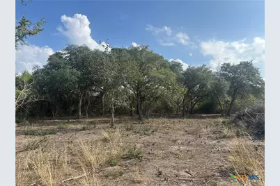1776 Fm 1351, Goliad, TX 77963 - Photo 12