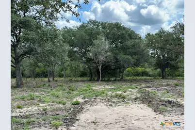 1776 Fm 1351, Goliad, TX 77963 - Photo 4