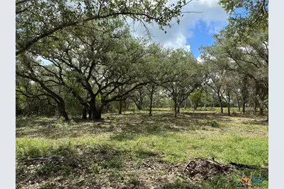 1776 Fm 1351, Goliad, TX 77963 - Photo 6