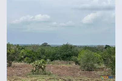 1776 Fm 1351, Goliad, TX 77963 - Photo 10