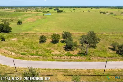 250 Ferguson Loop, Dale, TX 78616 - Photo 6
