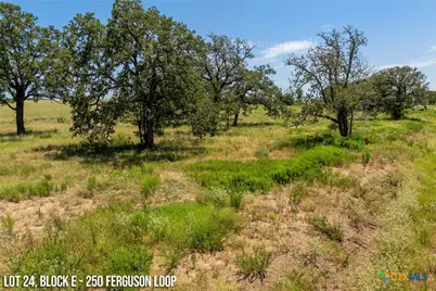 250 Ferguson Loop, Dale, TX 78616 - Photo 4