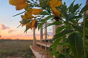 [Address not provided], Oglesby, TX 76561 - Photo 24