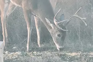 [Address not provided], Oglesby, TX 76561 - Photo 30