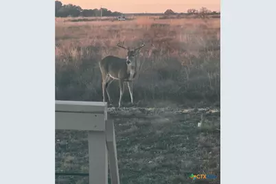 [Address not provided], Oglesby, TX 76561 - Photo 28