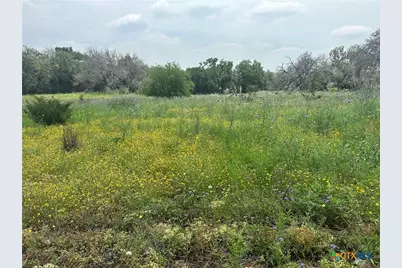 134 Yellowstone Drive, Oglesby, TX 76561 - Photo 4