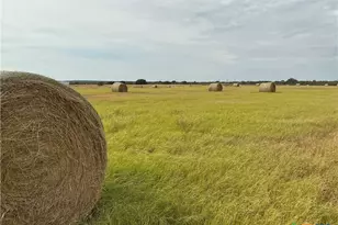 4215 Cr 226, San Saba, TX 76877 - Photo 14