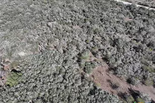 Tbd Us-183, Refugio, TX 78377 - Photo 28