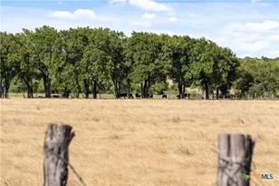 11705 Fm 439, Belton, TX 76513 - Photo 28