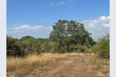 1776 Fm 1351, Goliad, TX 77963 - Photo 2
