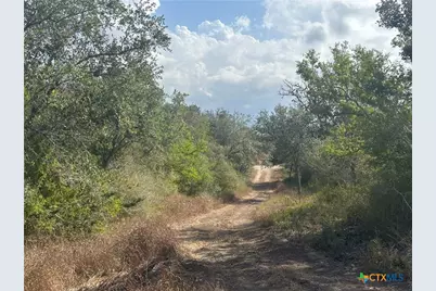 1776 Fm 1351, Goliad, TX 77963 - Photo 10