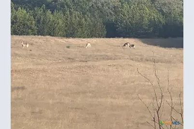 740 County Road 4876, Copperas Cove, TX 76522 - Photo 28