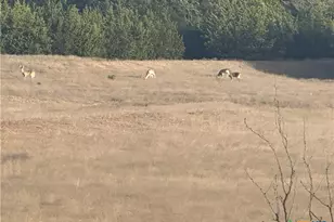 740 Co Rd 4876, Copperas Cove, TX 76522 - Photo 28