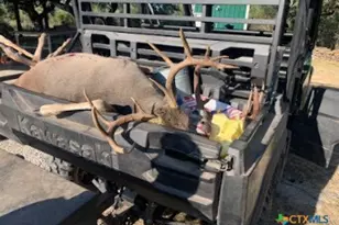 1218 Private Rd 1377, Lampasas, TX 76550 - Photo 4