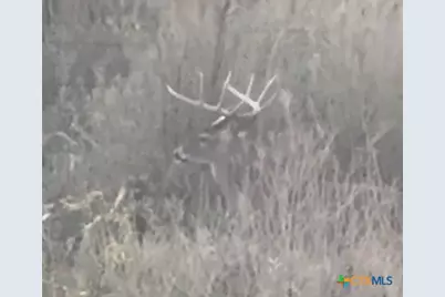 1218 Private Road 1377, Lampasas, TX 76550 - Photo 6