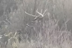 1218 Private Rd 1377, Lampasas, TX 76550 - Photo 6