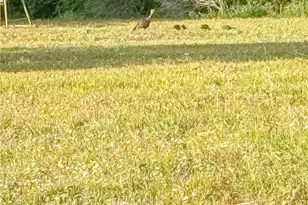 725 Private Rd 1581, Hallettsville, TX 77964 - Photo 30