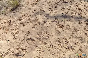 725 Private Rd 1581, Hallettsville, TX 77964 - Photo 24