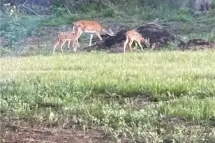 725 Private Rd 1581, Hallettsville, TX 77964 - Photo 34