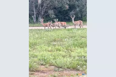 725 Private Road 1581, Hallettsville, TX 77964 - Photo 34