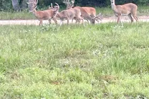 725 Private Rd 1581, Hallettsville, TX 77964 - Photo 34